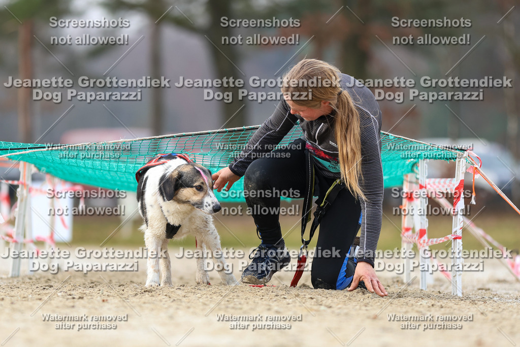 Dog Paparazzi - Strongdog North Mrz26-4177 | Dog Paparazzi Jeanette Grottendiek Fotografie & Videografie - Realisiert mit Pictrs.com