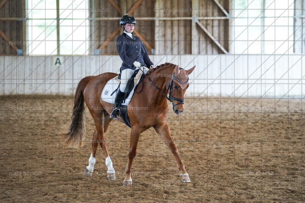 20230520-FAH05367 | Frühjahrsturnier, Landsberg am Lech, 2023, Reitclub Landsberg, Turnierbilder, Fotos Turnier Landsberg, Fotoagentur Herrmann, Turnierfotografen Bayern, Reitsport Fotograf, Pferde Fotograf