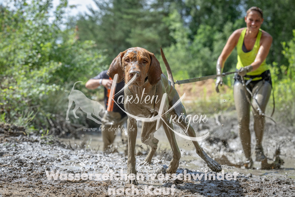 1114_ZZ90762 | kk-dogfotos
