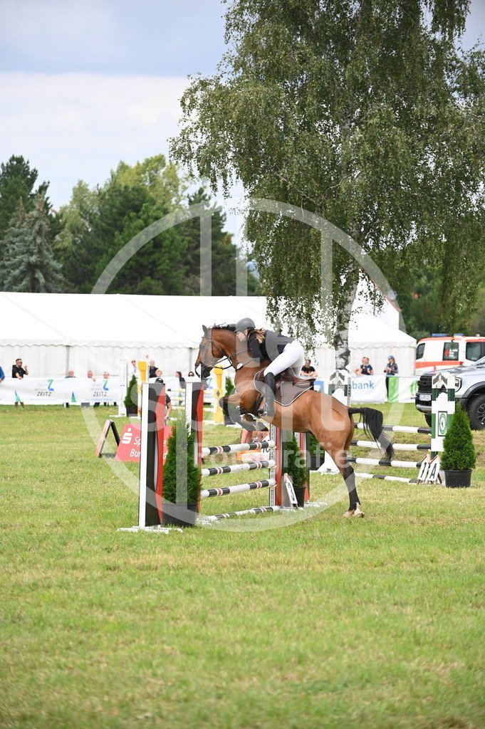 DSC_1597 | sattelsport - Realisiert mit Pictrs.com