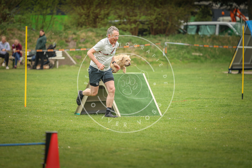 Pfotenfotografie_0L8A1771 | Hundefotografie, Tierfotograf, Pfotenfotografie, Fotoshooting Hund, Hunde Portrait, Hundesport, Hundeportraits, Heideshooting, Hunde, Sportfotograf, Hundefotograf, Turnierhundsport, THS,  - Realisiert mit Pictrs.com