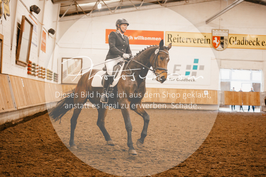 3I6A1401 | Stimmungsvolle Portraits und Reitsportfotografie im Ruhrgebiet und im Münsterland.

Pferdefotografie, Hundefotografie, Tierfotografie, Reportagen, Portraits von Tier und Mensch, Turnierfotografie in Bochum, Recklinghausen, Marl, Haltern am See, Dülmen.. - Realisiert mit Pictrs.com