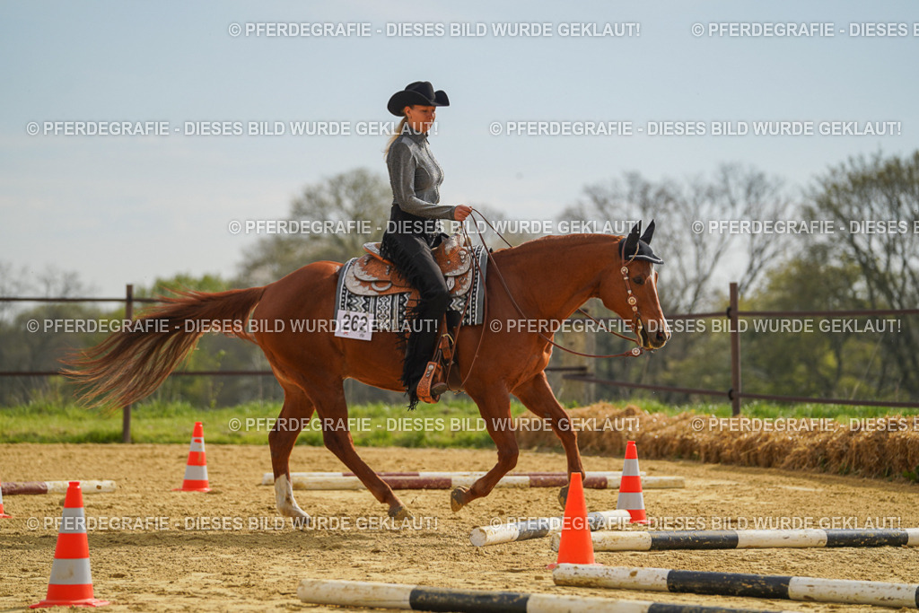 DSC01922 | Pferdegrafie