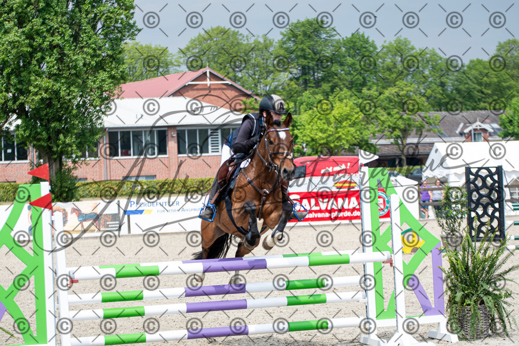 KPT_2973 | andre_photographic