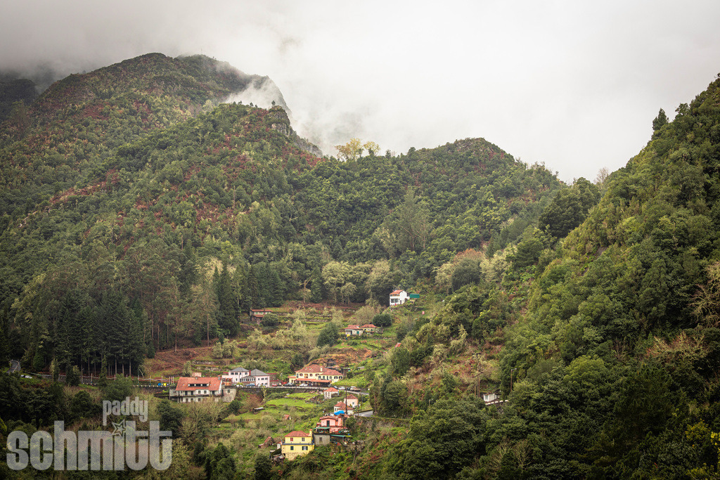 PS-Madeira-2026-21 | Entdecke die größte Bildgalerie der Region mit Fotografien aus dem Allgäu, der Bodenseeregion, Oberschwaben, dem Donautal und der Schwäbischen Alb. Landschaften, Luftaufnahmen und Reisefotografie als Wandbild und Fotokunst. - Realisiert mit Pictrs.com