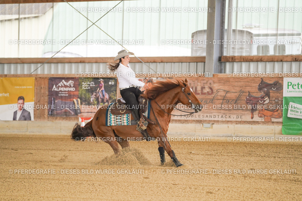 DSC00394 | Pferdegrafie