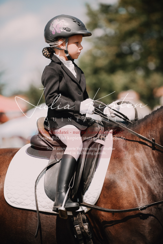 DSC_6112 | Pferde- und Turnierfotografie in Westsachsen. Pferdeportraits, Auftragszeichnungen und intuitive Kunst.
