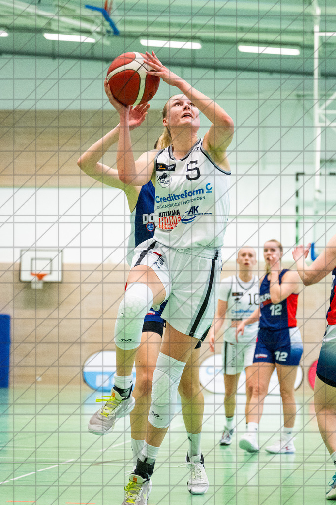 2. DBBL Nord 24/25 | 27.10.2024 | BBC OS vs. TSVE Bielefeld  | 2. DBBL Nord 24/25 | 27.10.2024 | BBC OS vs. TSVE Bielefeld - - - - - CREDIT, www.bullenfotos.de, Martin König, Hörner Weg 40, D-49078 Osnabrück, +4917663732967, Nutzung und Weitergabe nur zu den vereinbarten Zwecken. Presseanfragen an Urheber. Alle Rechte beim Urheber. - - - - - - Realisiert mit Pictrs.com