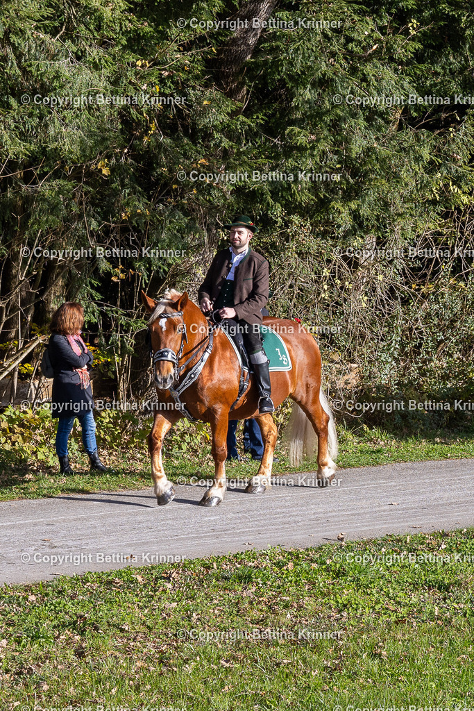 LBT24-210 | foto-bettina-krinner - Realisiert mit Pictrs.com