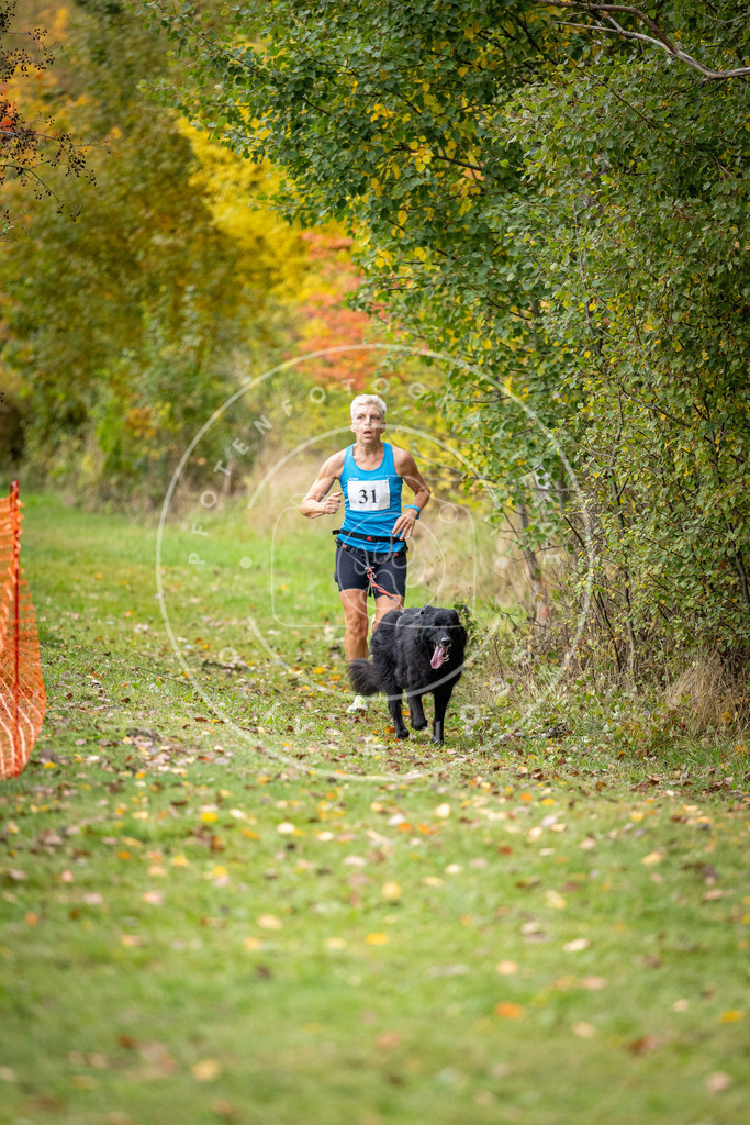 Pfotenfotografie_DV3A2102 | Hundefotografie, Tierfotograf, Pfotenfotografie, Fotoshooting Hund, Hunde Portrait, Hundesport, Hundeportraits, Heideshooting, Hunde, Sportfotograf, Hundefotograf, Turnierhundsport, THS,  - Realisiert mit Pictrs.com