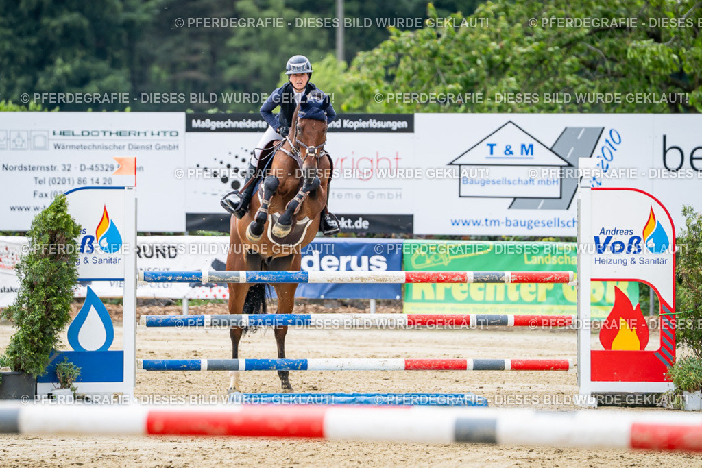 DSC05183 | Pferdegrafie