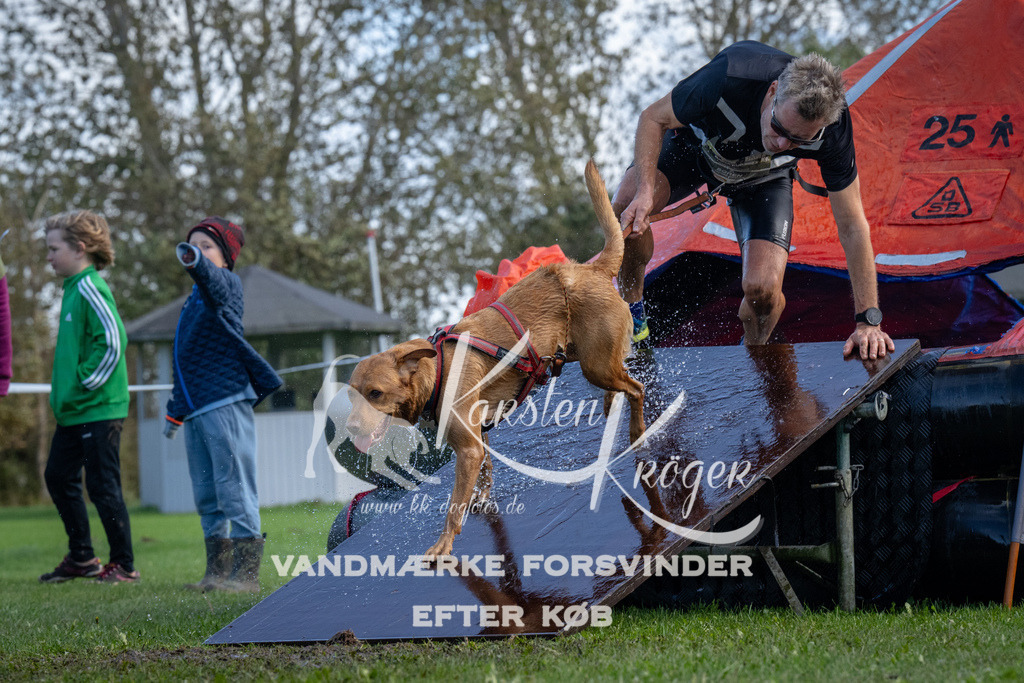 1254-90112 | kk-dogfotos