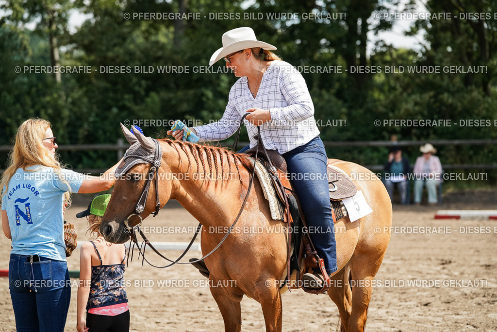 DSC06275 | Pferdegrafie