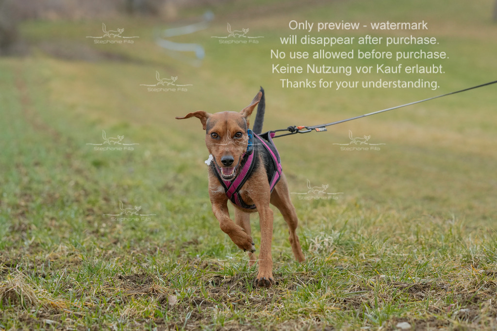 Sa_Bike-210 | stephaniefillaphotographie - Realisiert mit Pictrs.com