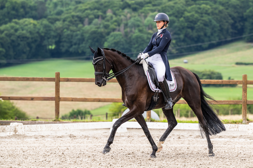 Luxembourg Dressage Championship 2025 - Senior League B | Luxembourg Dressage Championship 2025 - Maite Colling on Fashion Hype - Realisiert mit Pictrs.com