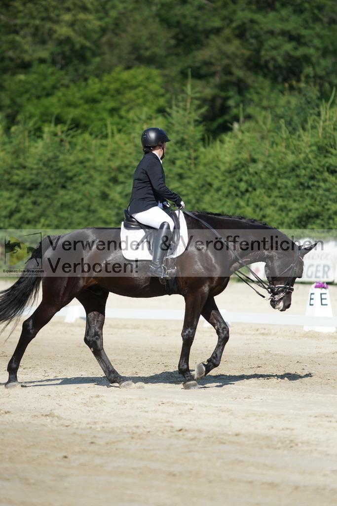 DSC02939 | equestrian-live-com
