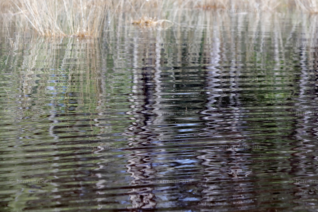 Nature-Arts-016 | Photo Foto Kunst Art schwarzweiss Bilder Rheine Münster Berlin Blumen 