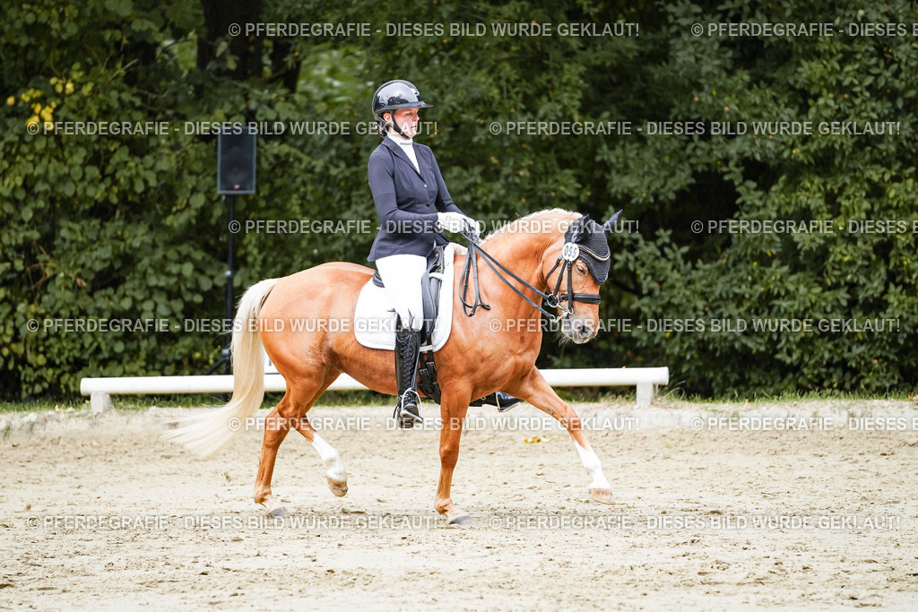 DSC04120 | Pferdegrafie