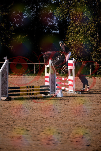 2026_10_03_Siefer-Hof_154341_Z81_61790245 | Professionelle Reitsport-, Turnier- und Eventfotografie von Robert Broda. Galerien mit ausgewählten und bearbeiteten Bildern direkt online ansehen und bestellen.