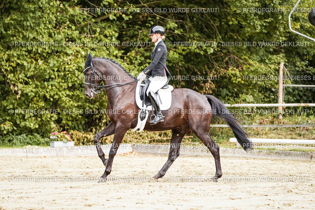 DSC02358 | Pferdegrafie