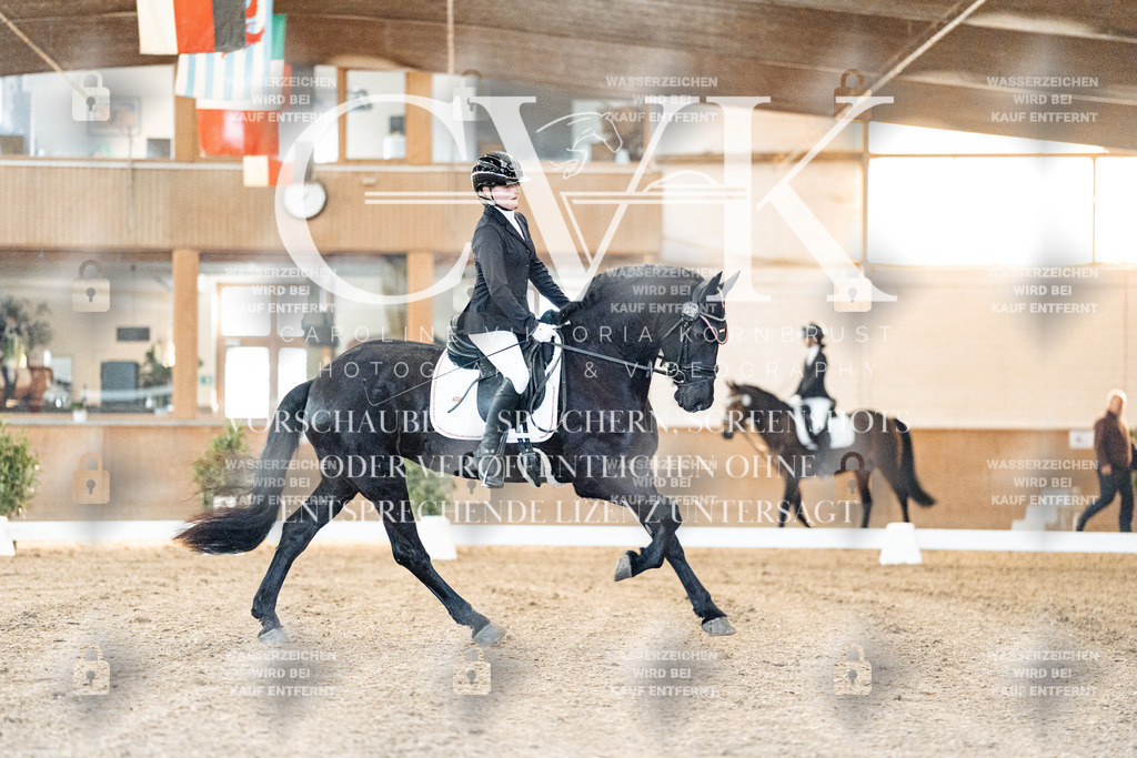 CK906520 | Turnierfotografie Pferdefotografie Trier Rheinland-Pfalz Pferdesport Reitsport Tierfotografie Sportfotografie Pferdevideo Pferdevideografie Equestrianvideography equestrianphotography  - Realisiert mit Pictrs.com