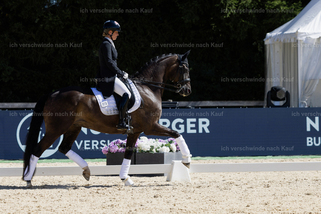 FHC2026_P12_Siegerehrung_19348 | working equitationturnier fotograf videograf stoibphotography marixx film working equitation deutschland reitsport turnierfotografie eventfotografie equestrian events