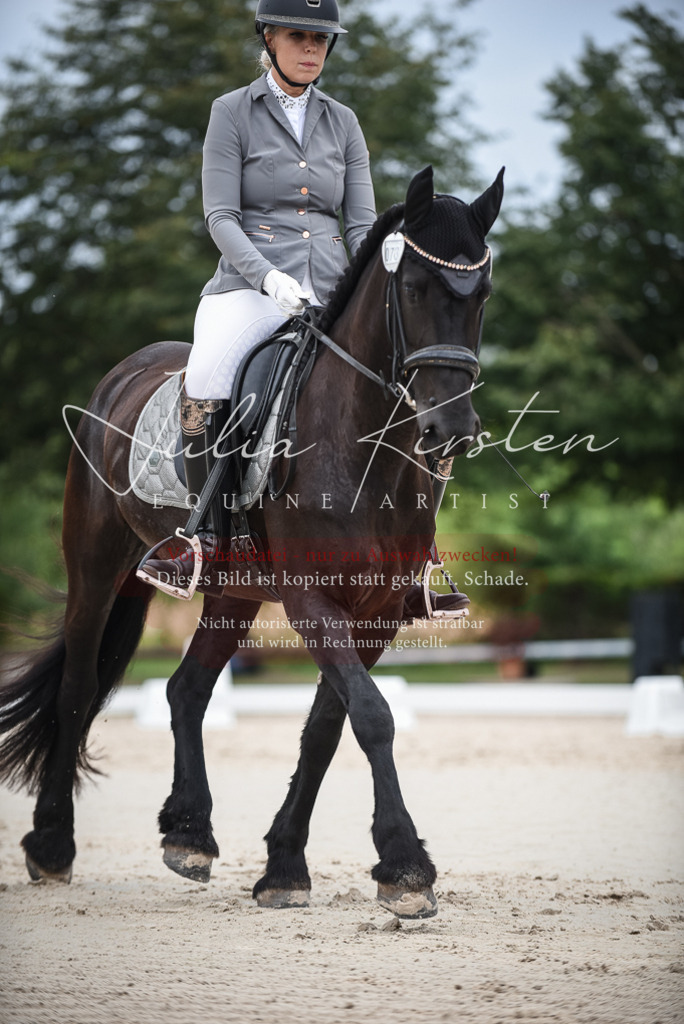DSC_8302 | Pferde- und Turnierfotografie in Westsachsen. Pferdeportraits, Auftragszeichnungen und intuitive Kunst.