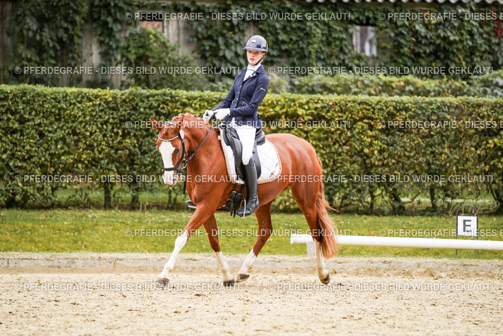 DSC08925 | Pferdegrafie