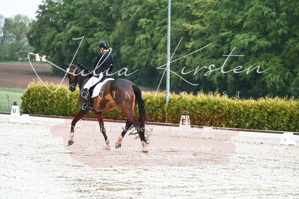 DSC_4144 | Pferde- und Turnierfotografie in Westsachsen. Pferdeportraits, Auftragszeichnungen und intuitive Kunst.