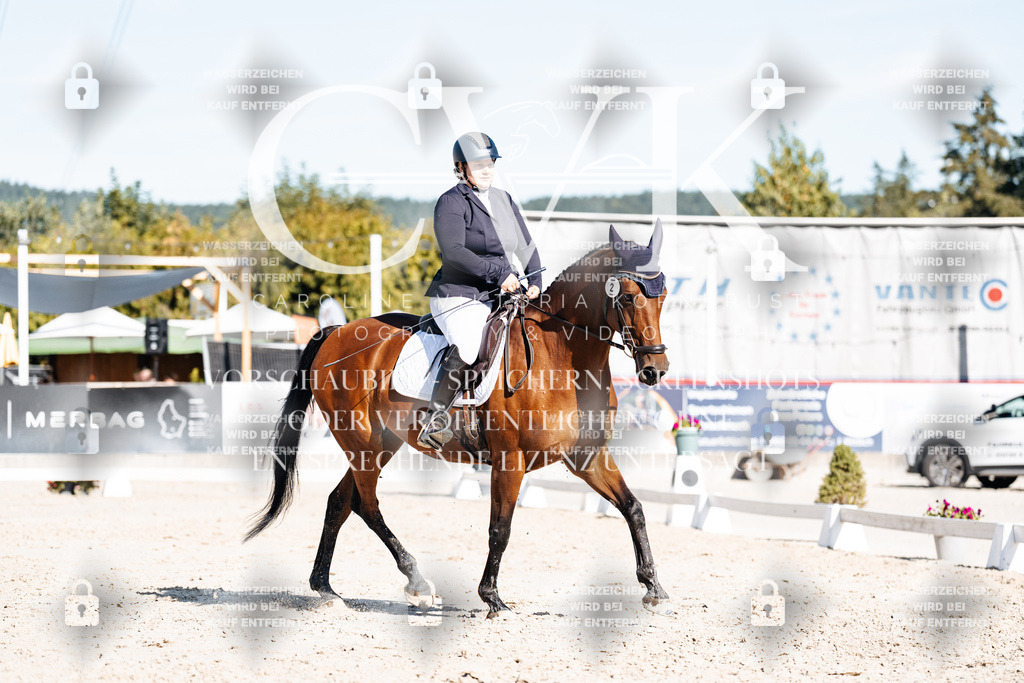 CK908016 | Turnierfotografie Pferdefotografie Trier Rheinland-Pfalz Pferdesport Reitsport Tierfotografie Sportfotografie Pferdevideo Pferdevideografie Equestrianvideography equestrianphotography  - Realisiert mit Pictrs.com