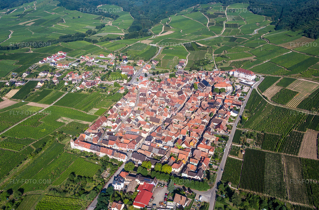 Aerial view: Vineyards in Saint-Hippolyte in the state Haut-Rhin, France.Photo: IMG_093309.jpg taken on 08/16/2016 by Werner Riehm/FLY-FOTO.comResolution of the original: 5350 x 3526 px