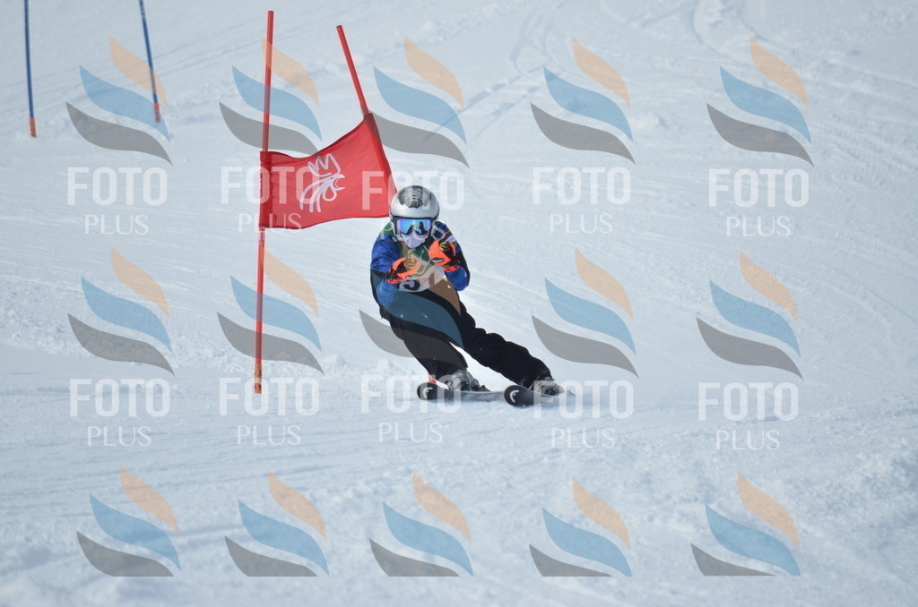 D8788 | holidayphoto