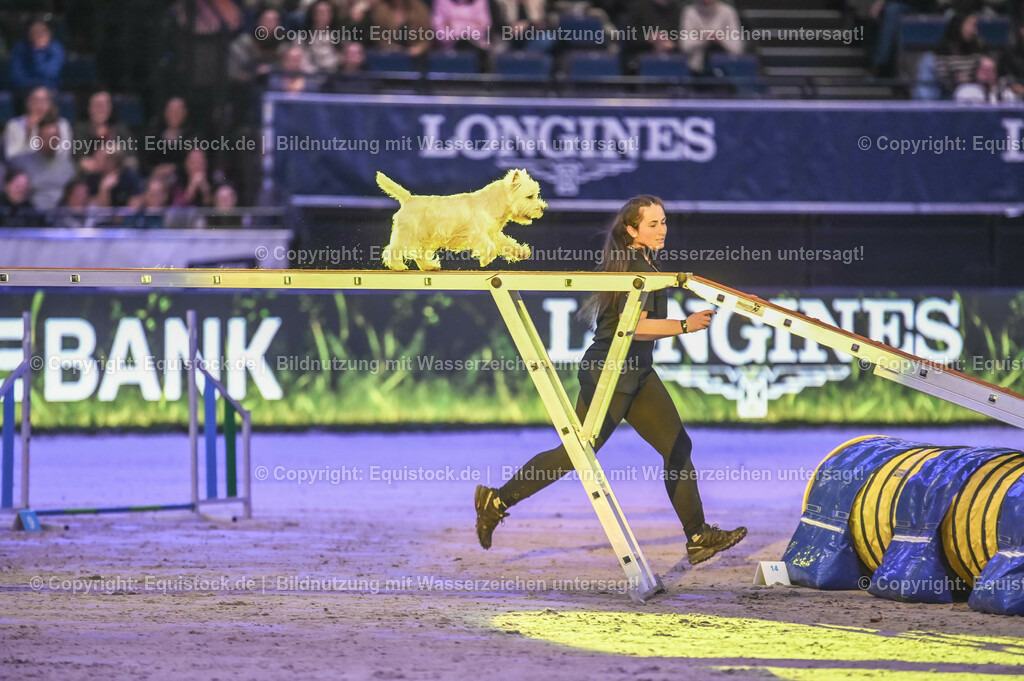 20231115_Dog-Agility_0073_TOMsPiC | Foto: Thomas Hartig