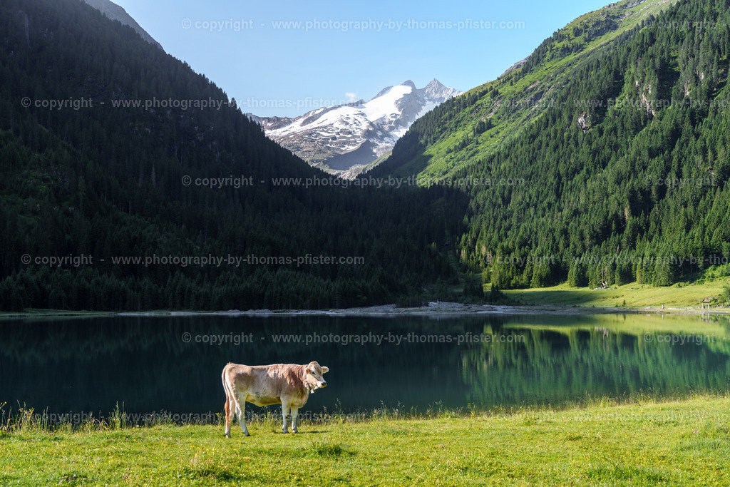Finkau Wildgerlos copyright  Thomas Pfister-2 | PHOTOGRAPHY BY THOMAS PFISTER