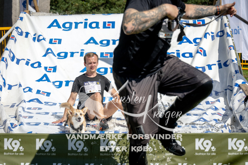 1255_ZZ97557 | kk-dogfotos