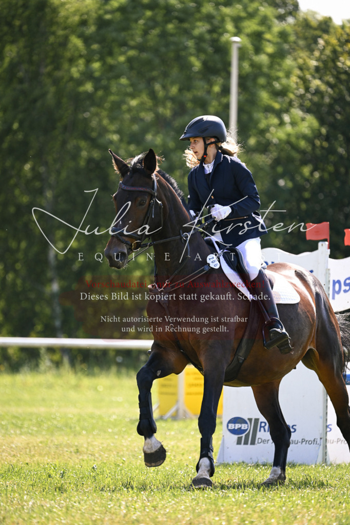 DSC_8835 | Pferde- und Turnierfotografie in Westsachsen. Pferdeportraits, Auftragszeichnungen und intuitive Kunst.