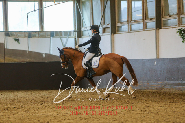 IMG_7759 | Turniersportfotografie; Pferdefotografie; Dressurfotografie