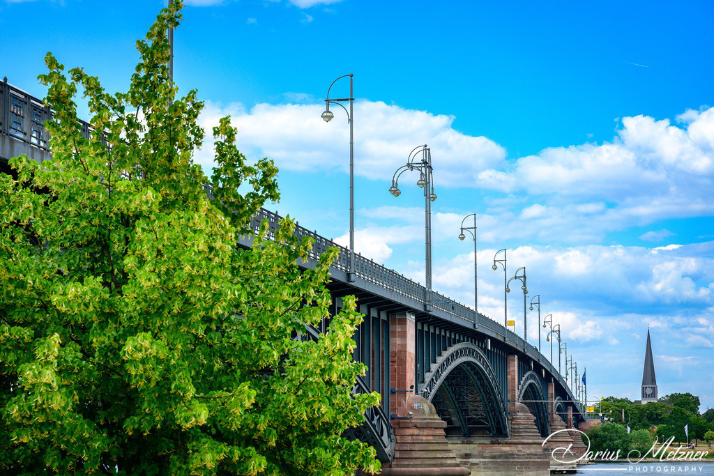 Die Theodor-Heuss-Brücke in Mainz | Die Theodor-Heuss-Brücke in Mainz