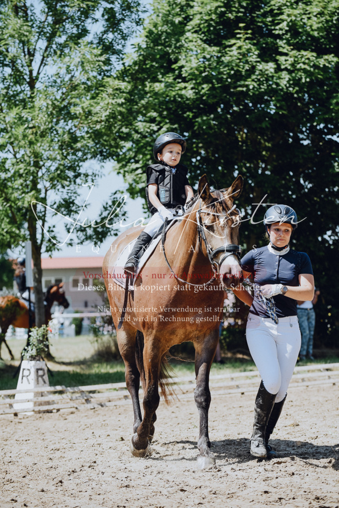 DSC_2495 | Pferde- und Turnierfotografie in Westsachsen. Pferdeportraits, Auftragszeichnungen und intuitive Kunst.