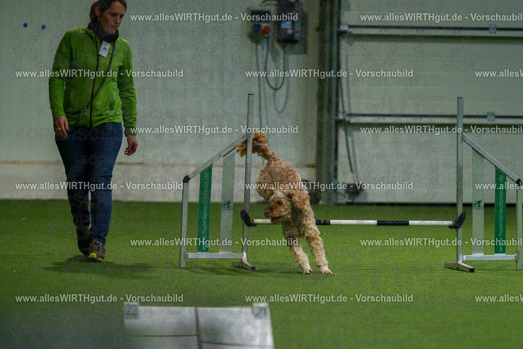 7R504539 | Professionelle Tierfotografie in Mönchengladbach von Daniel Wirth (allesWIRTHgut). Liebevolle & natürliche Bilder von Hunden & Katzen für unvergessliche Erinnerungen.