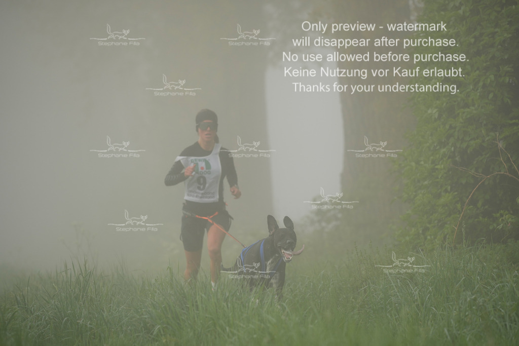 SA_GL2-47 | stephaniefillaphotographie - Realisiert mit Pictrs.com