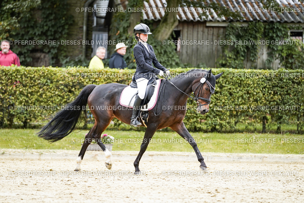 DSC01876 | Pferdegrafie