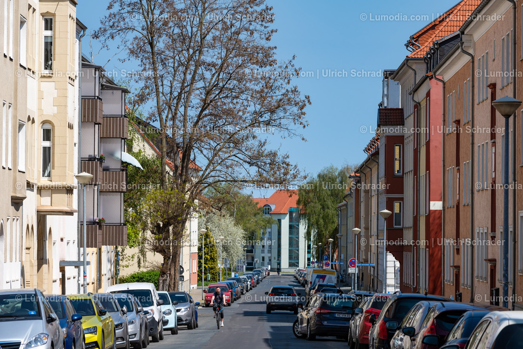 10049-12794 - Halberstadt - Thomas-Müntzer-Strasse | Stockfoto und Bilderpool mit Bildmaterial aus Deutschland, dem Harz, Halberstadt, Quedlinburg, Wernigerode und weltweit. Qualitativ hochwertige und professionelle Fotos anschauen und kaufen. - Realisiert mit Pictrs.com