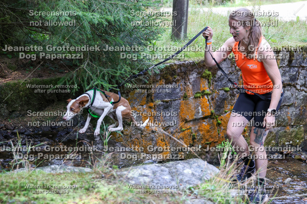 Dog Paparazzi -  TH 26-600 | Dog Paparazzi Jeanette Grottendiek Fotografie & Videografie - Realisiert mit Pictrs.com