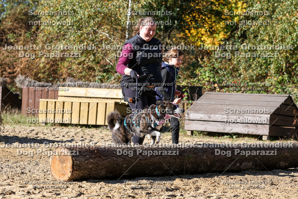 Dog Paparazzi - Strongdog 10-25-2842 | Dog Paparazzi Jeanette Grottendiek Fotografie & Videografie