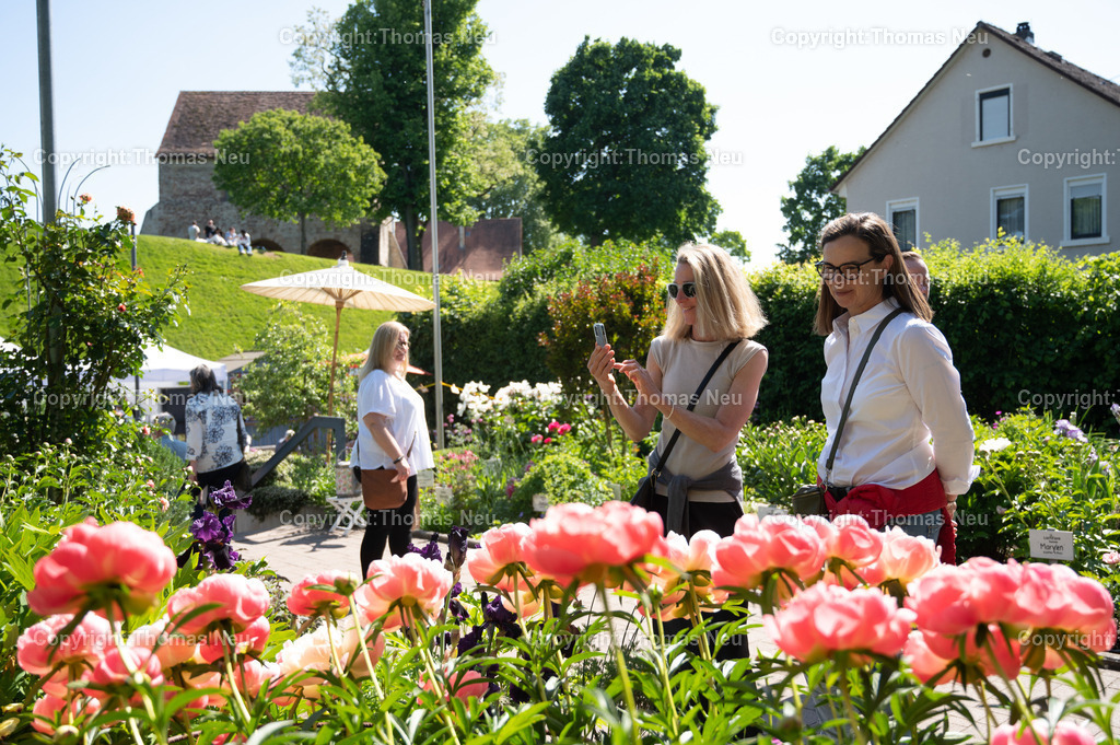 DSC_7513 | ble, 10.05.2025, Frühlingsmarkt Lorsch, Pfingstrosengarten,  Bild: Thomas Neu