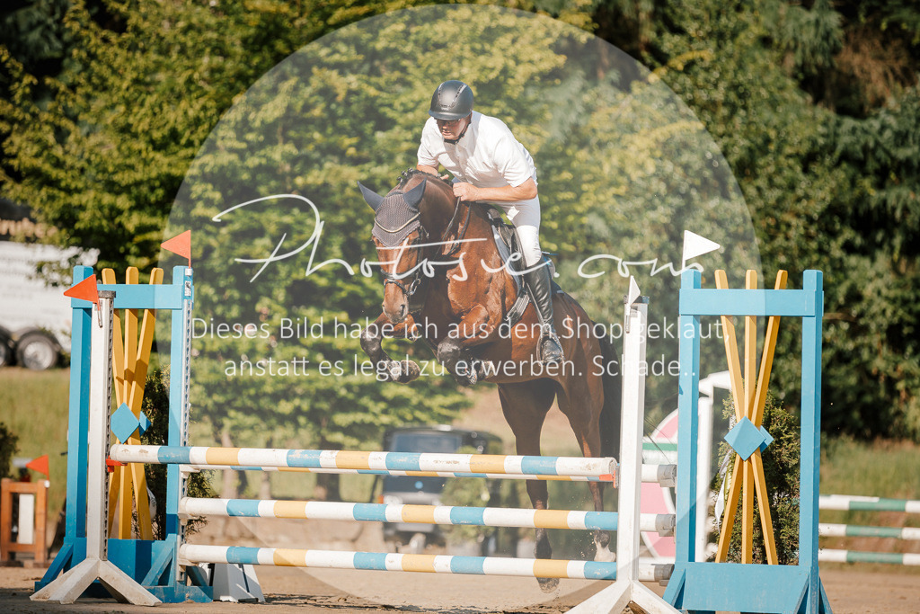 3I6A6334 | Stimmungsvolle Portraits und Reitsportfotografie im Ruhrgebiet und im Münsterland.

Pferdefotografie, Hundefotografie, Tierfotografie, Reportagen, Portraits von Tier und Mensch, Turnierfotografie in Bochum, Recklinghausen, Marl, Haltern am See, Dülmen.. - Realisiert mit Pictrs.com