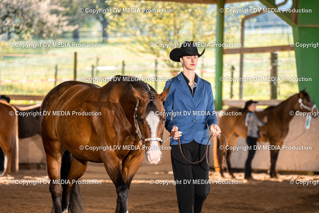 Balingen Tag 1-36 | dv-media-shop - Realisiert mit Pictrs.com