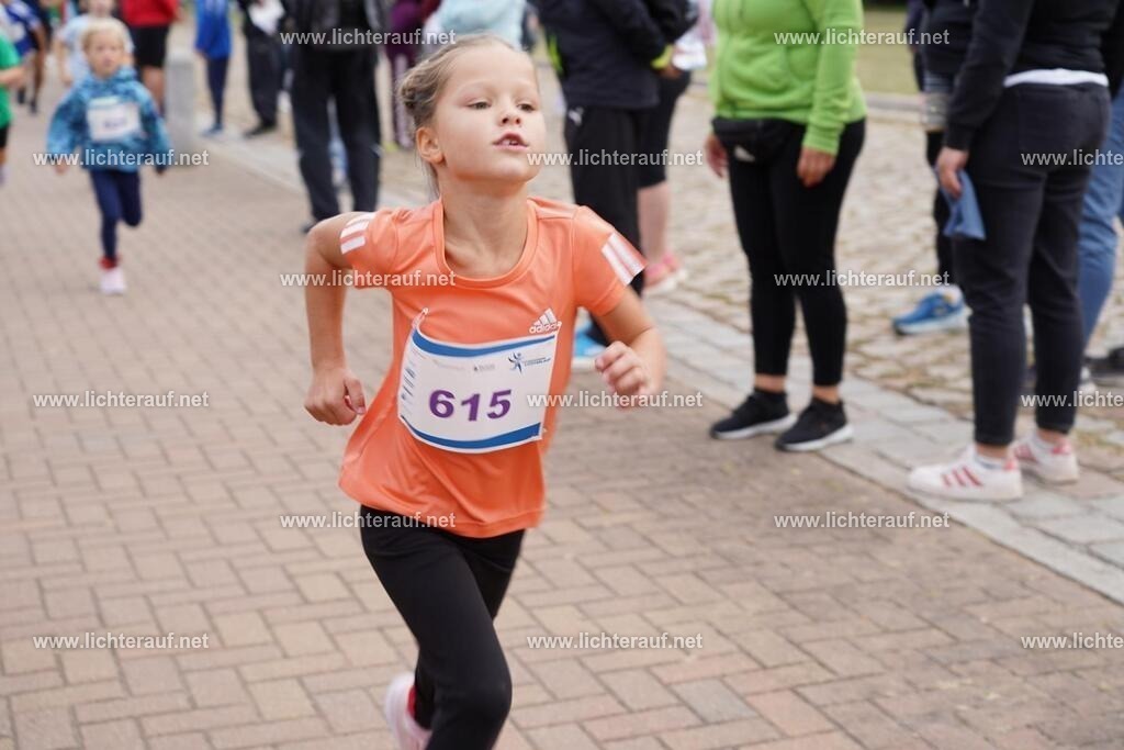 DSC05084 | Lichterlauf  - Realisiert mit Pictrs.com