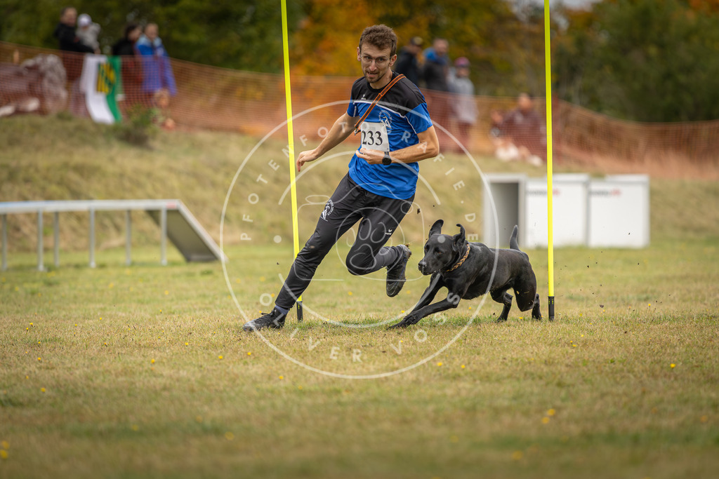Pfotenfotografie_DV3A5141 | Hundefotografie, Tierfotograf, Pfotenfotografie, Fotoshooting Hund, Hunde Portrait, Hundesport, Hundeportraits, Heideshooting, Hunde, Sportfotograf, Hundefotograf, Turnierhundsport, THS,  - Realisiert mit Pictrs.com